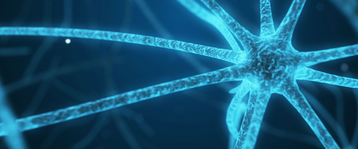 Ilustración del cerebro con conexiones neuronales activas